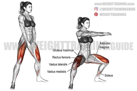 Bodyweight sumo squat instructions and video | Weight Training Guide