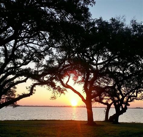 Lake Texana State Park - All You Need to Know BEFORE You Go (2024)