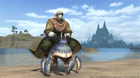 Big Shell - Final Fantasy XIV Online Wiki - FFXIV / FF14 Online ...