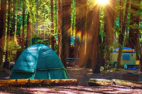 The Ultimate Guide to Camping in Redwood National Park