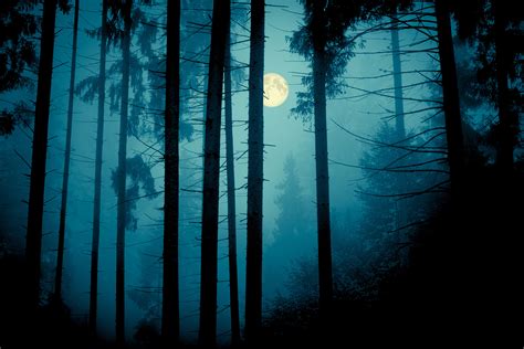 Haunted Forest returns to UMM - UMaine Machias News