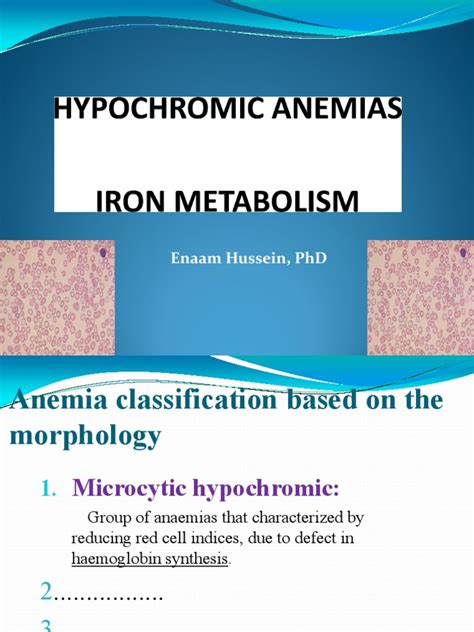 Anemia Hypochromic | PDF | Iron | Anemia