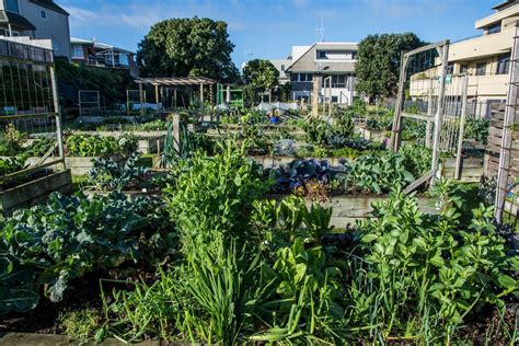 5 really useful allotment ideas for beginners | Backyard landscaping ...