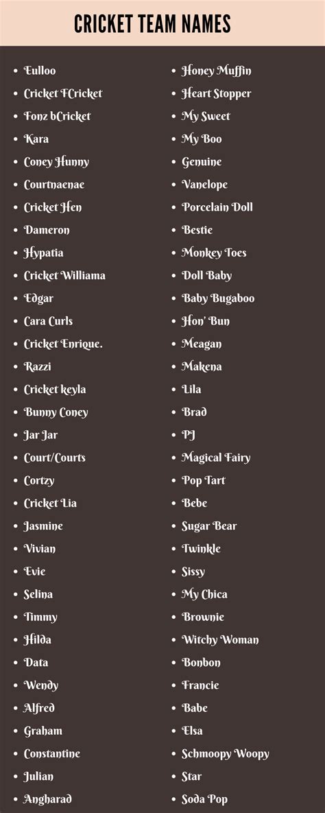 400 Cool Cricket Team Names Ideas and Suggestions