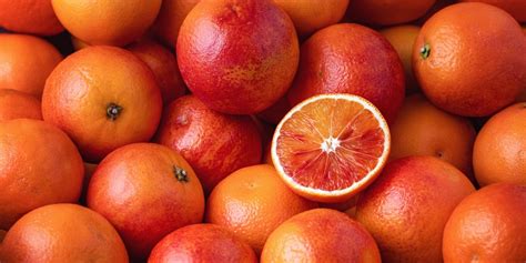 Can You Grow Blood Oranges in Florida? - GFL Outdoors