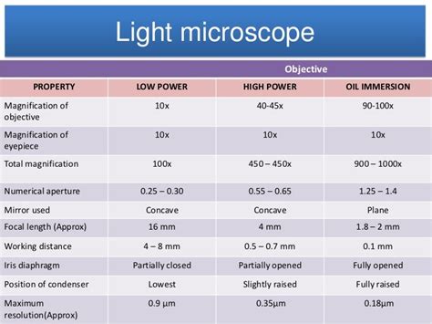 What Is The Maximum Resolution And Magnification Of A Light Microscope ...