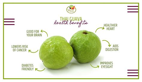 Thai Guava Benefits - Vega Produce: Eat Exotic, Be Healthy