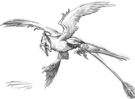 Microraptor gui IVPP V 13352 by PaleoPastori on DeviantArt