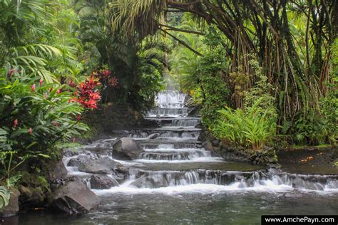 Hot Springs at the Tabacon, La Fortuna. • Amche Payn