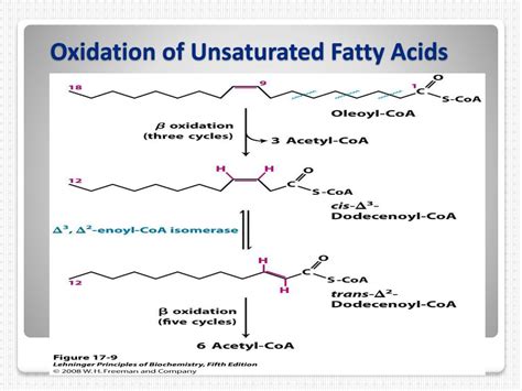 Fatty Acid Oxidation Defects