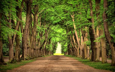 523 Background Nature Road Images - MyWeb