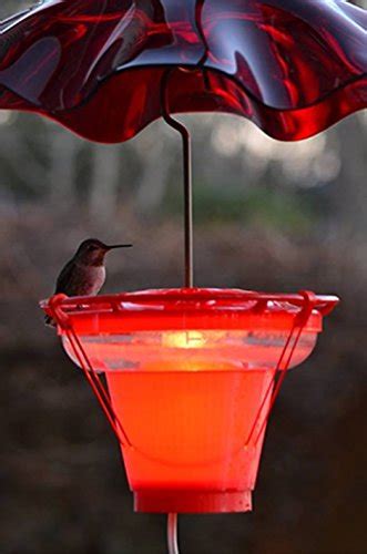 Hummer Hearth Hummingbird Feeder Heater