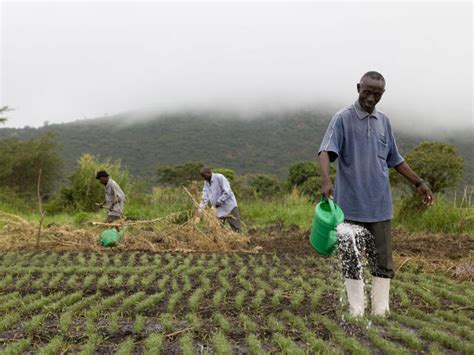 Impact of Sustainable Agriculture and Farming Practices