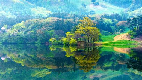 Korea Nature Wallpapers - 4k, HD Korea Nature Backgrounds on WallpaperBat