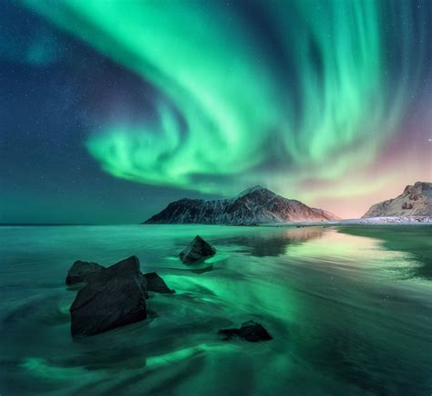 Aurora. Northern lights in Lofoten islands, Norway. Sky with polar ...