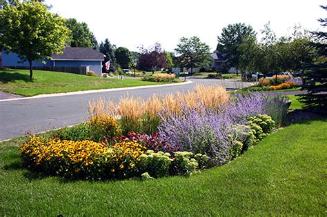 Rain Garden Plants: Designed To Use The Resources Of Excess Water That ...