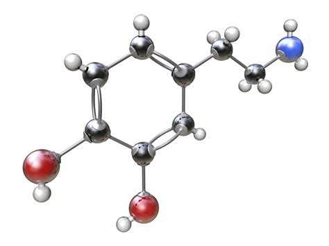 Bonds Definition and Examples in Chemistry