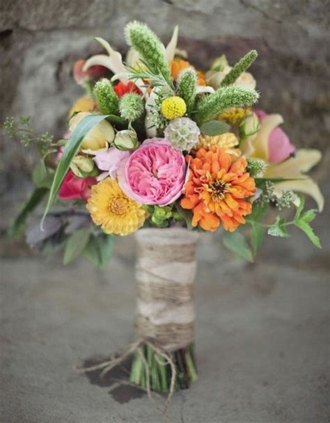 Scabiosa Pods Archives - Bouquet Bouquet