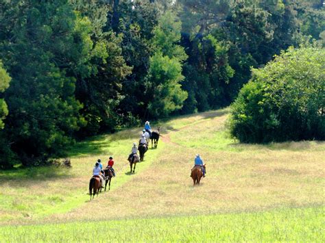 A Natural Horsemanship Experience | Mowbray Park FarmStay