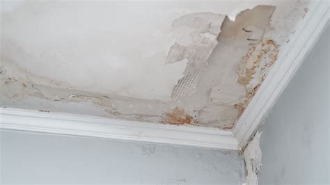 Cost To Repair Water Damaged Plaster Ceiling | Americanwarmoms.org