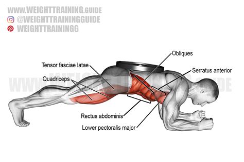 Weighted front plank exercise instructions and video | weighttraining.guide