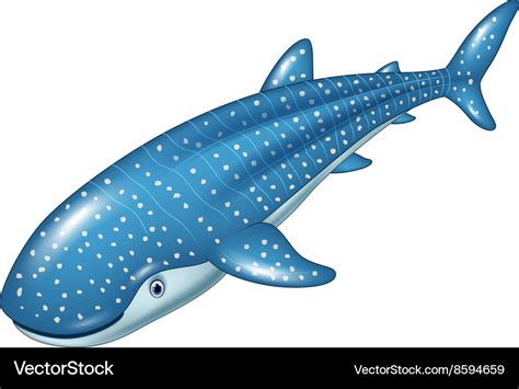 Cartoon whale shark isolated on white background Vector Image