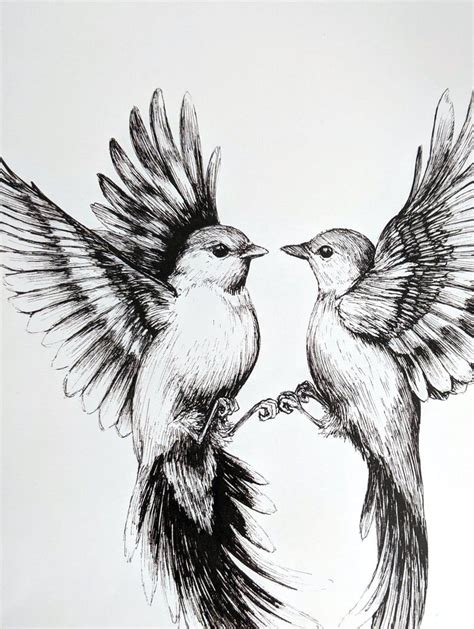 Flying Bird Drawing, Bird Pencil Drawing, Pencil Art Drawings, Bird ...