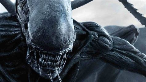 Alien: Romulus star confirms the new movie’s timeline, and sends plot ...