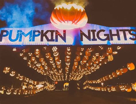 Pumpkin Nights | Experience the excitment of 5,000 hand-carved pumpkins