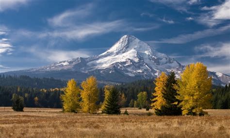 Mt Hood National Forest, Oregon - AllTrips