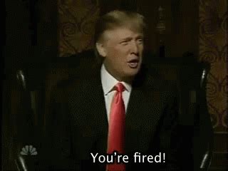 You're Fired GIF - Yourefired Trump Fired GIFs | Say more with Tenor