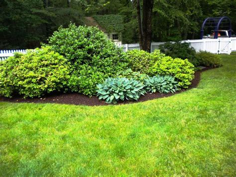 Front Yard Landscaping Ideas Evergreen Shrubs | garden | Landscaping ...