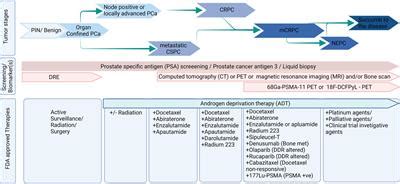 Frontiers | Editorial: Metastatic Castration Resistant Prostate Cancer ...