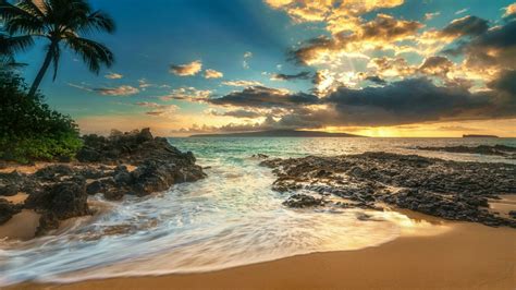 Hawaiian Beaches Backgrounds