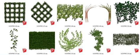 6256. Free Sketchup Hanging Garden Models Download