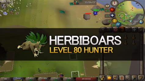 Herbiboar Pet Osrs - Janainataba