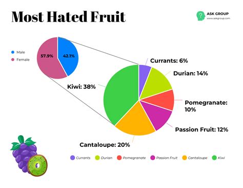 Example Of Pie Chart