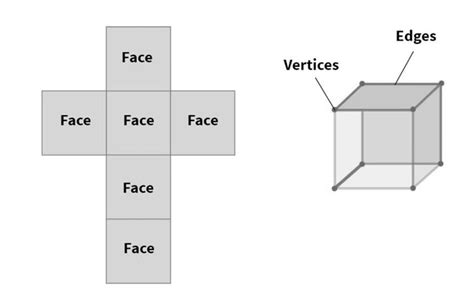 Vertices, Edges And Faces | Types, Relationships, Examples