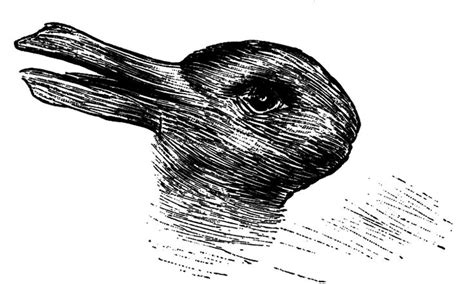 Do You See A Duck Or Bunny? This Optical Illusion Tells A Lot About You ...