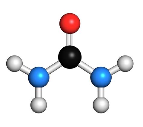 Urea Molecule Photograph by Molekuul - Fine Art America