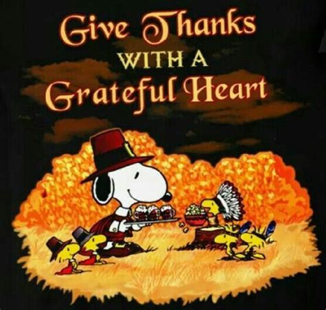 Charlie Brown Thanksgiving Quotes - ShortQuotes.cc