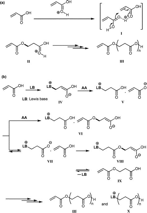 Acrylate Polymerization Mechanism