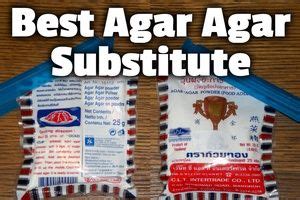 9 Best Agar Agar Substitutes - Easy to Find (Reg & Vegan)