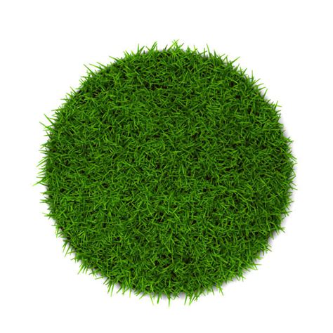 97,200+ Grass Circle Stock Photos, Pictures & Royalty-Free Images - iStock