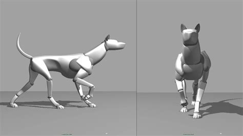 A Canine Walk Cycle | Dog animation, Animated animals, Animation mentor