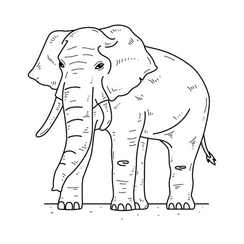 Elephant Outline Clip Art