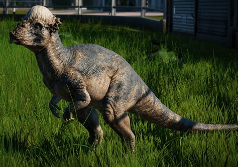 List of Shortest and Longest Dinosaur Names with Pictures