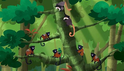 Mystery of the Mini Monkey Models | Wild Kratts Wiki | Fandom