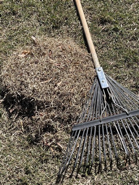 Spring Yard Clean Up In Six Easy Steps - An Organized Season