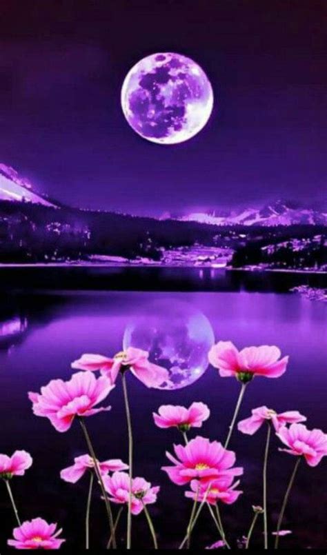 Moon Flower Wallpapers - Wallpaper Cave